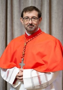 Cardinal_Cobo Cano.jpg